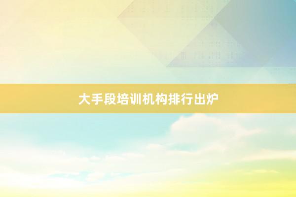 大手段培训机构排行出炉
